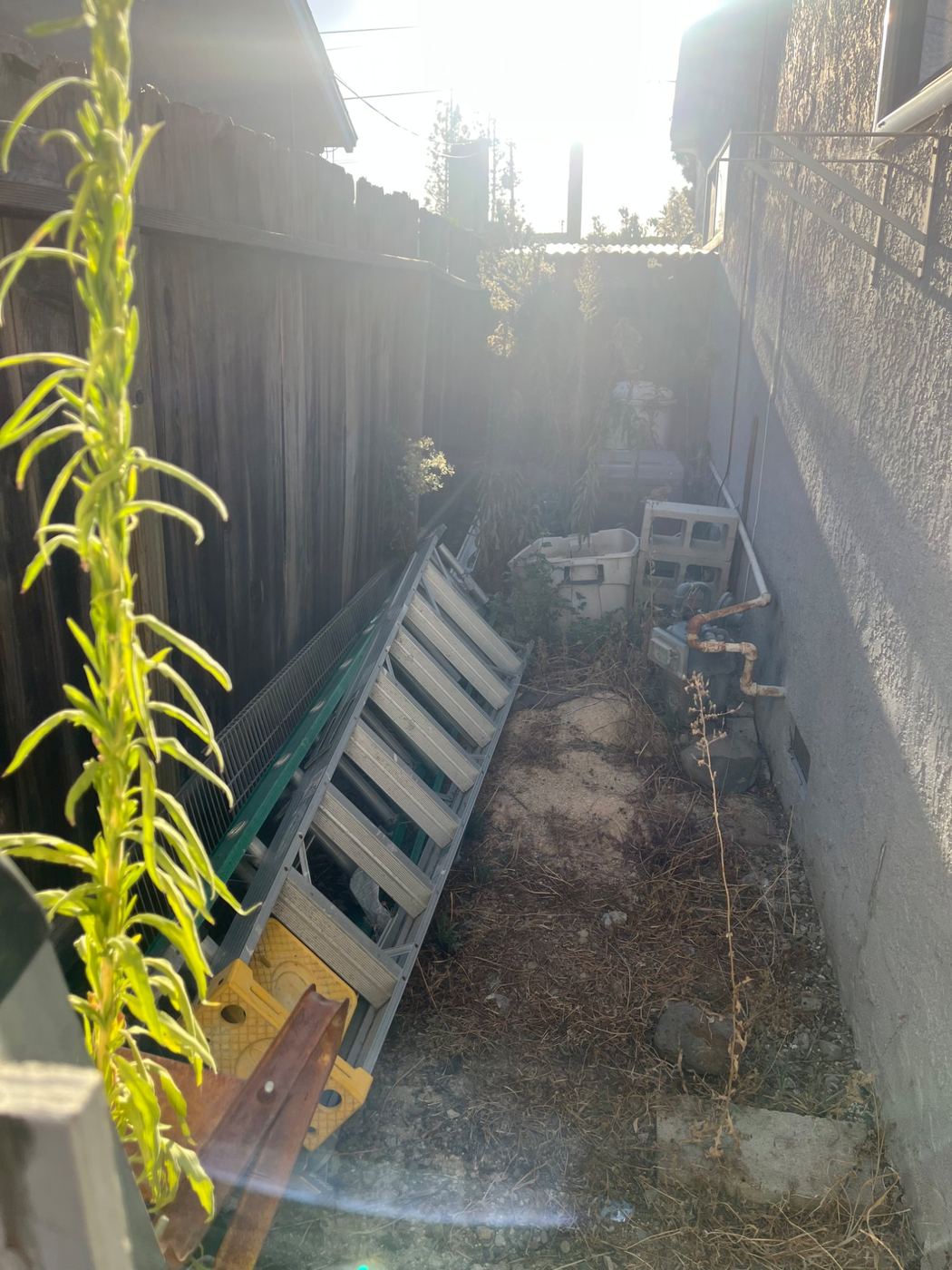 Side alley cleared of an old ladder and debris by Blackstone Junk Removal